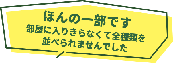 ほんの一部です